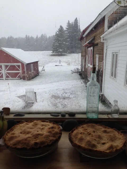 SnowPiesAnicaRissi.jpg