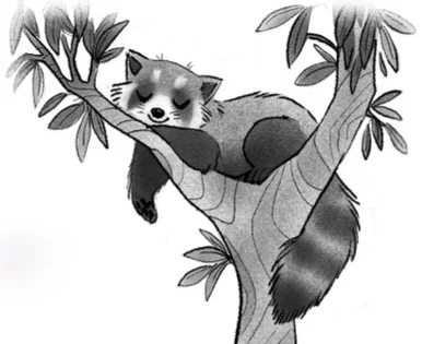 RedPandabyMegPark.jpg