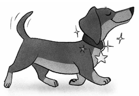 illustration by Meg Park