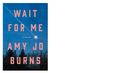 Amy Jo Burns Book Launch