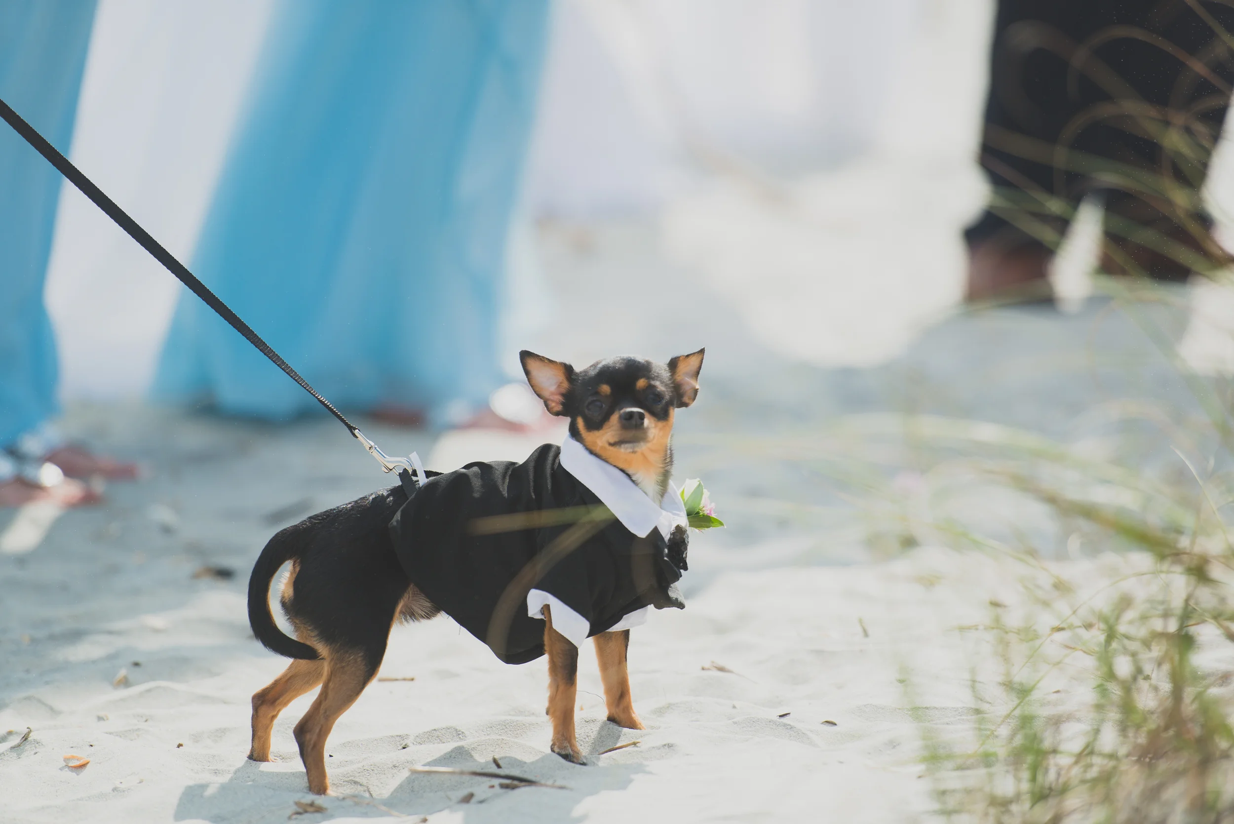 Holden Beach Wedding-1-4.jpg
