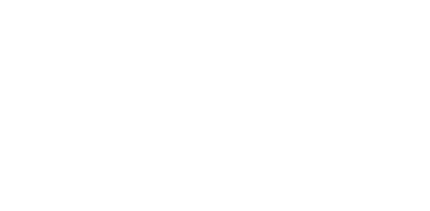 Blu Moose Photography