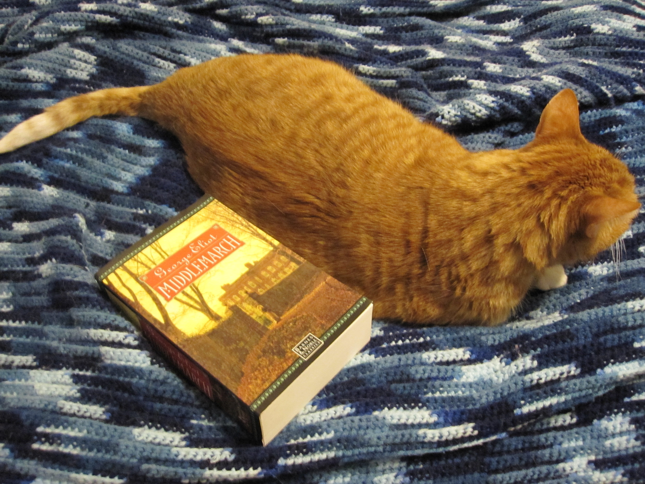 Murphy turns his back on high culture.