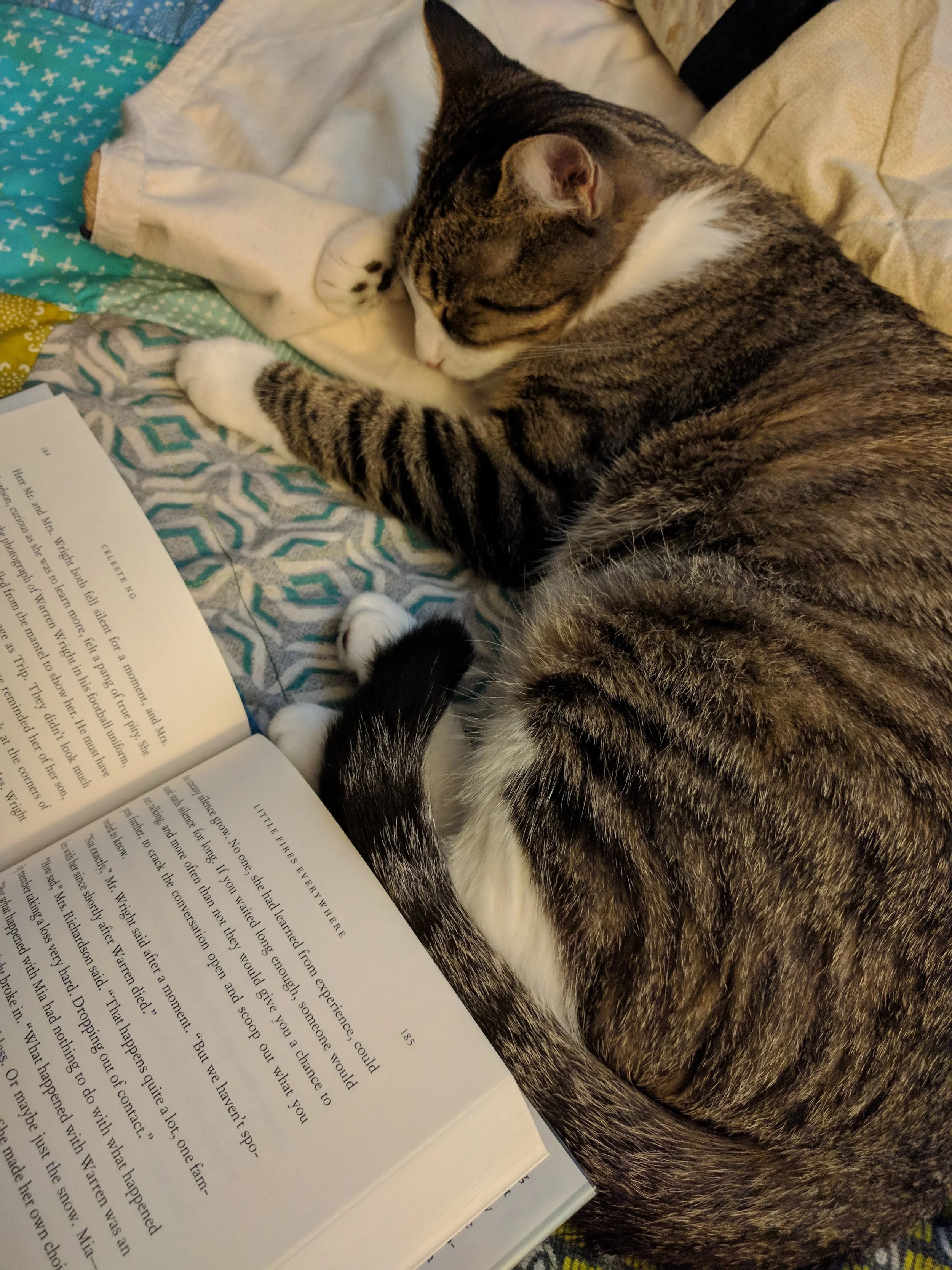 Maybe we all just need a nap.