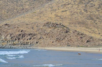 wDSC_0412.jpg