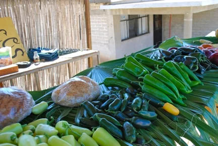 shop local markets