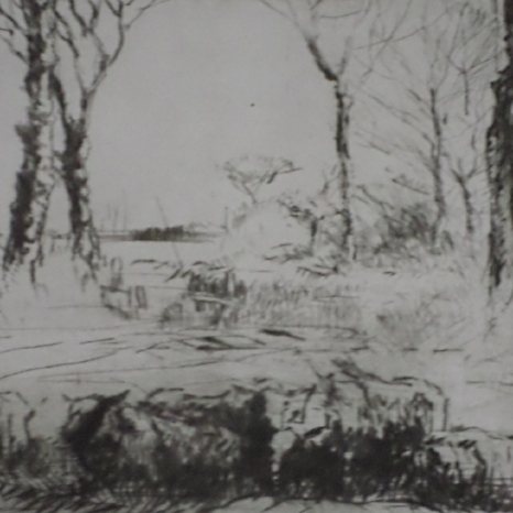 Sheep in field Etching