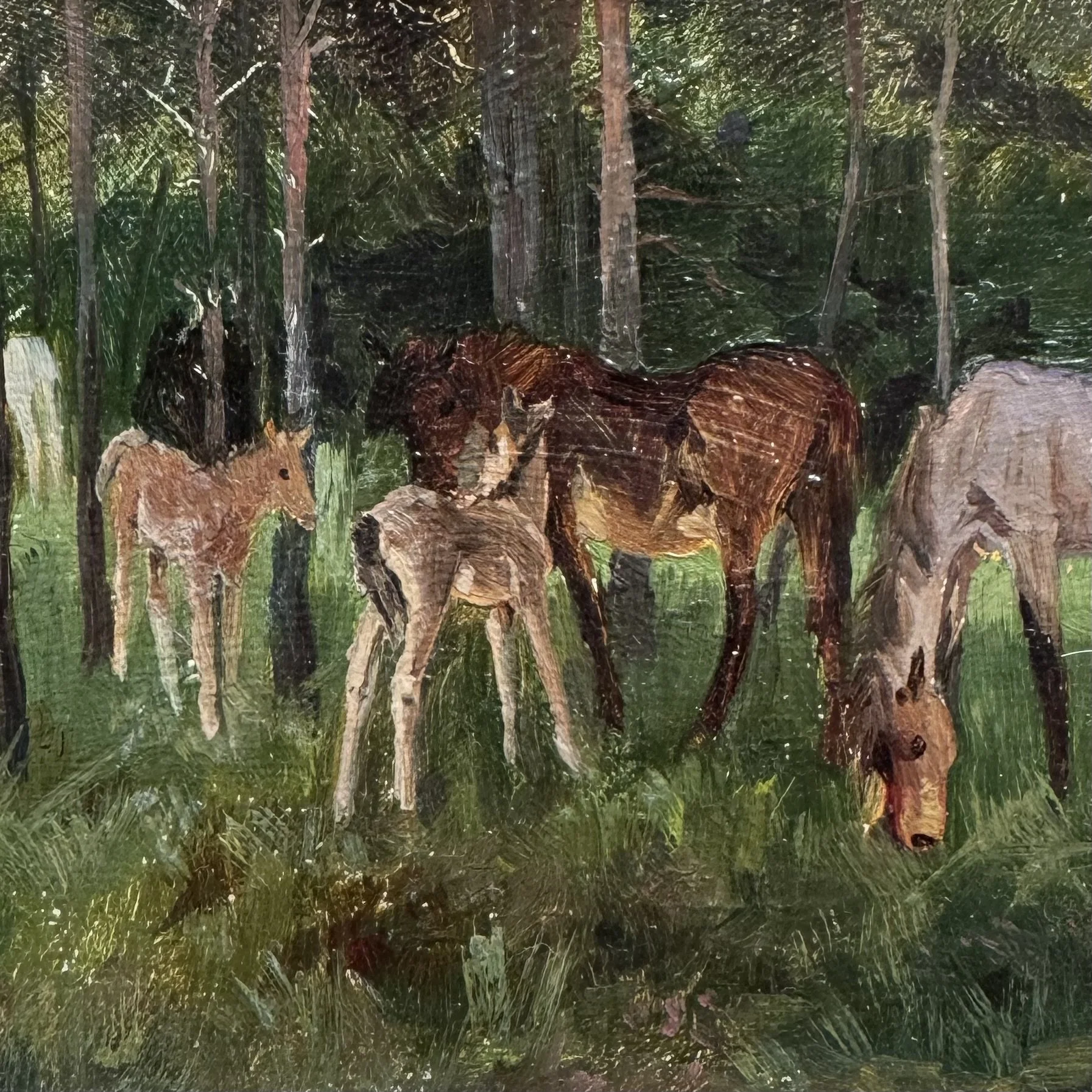 Oil - In the Forest