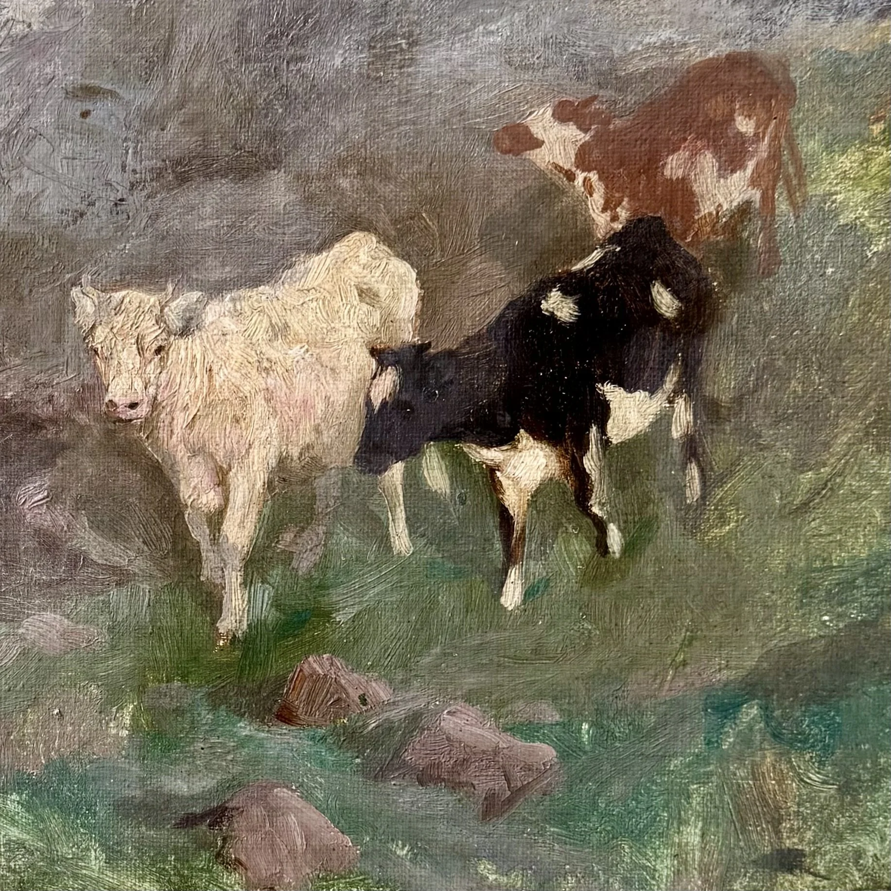 New - 1904 oil