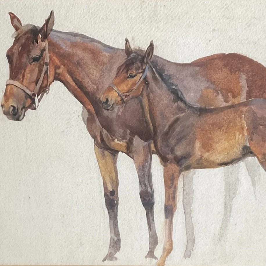 New - Watercolour 