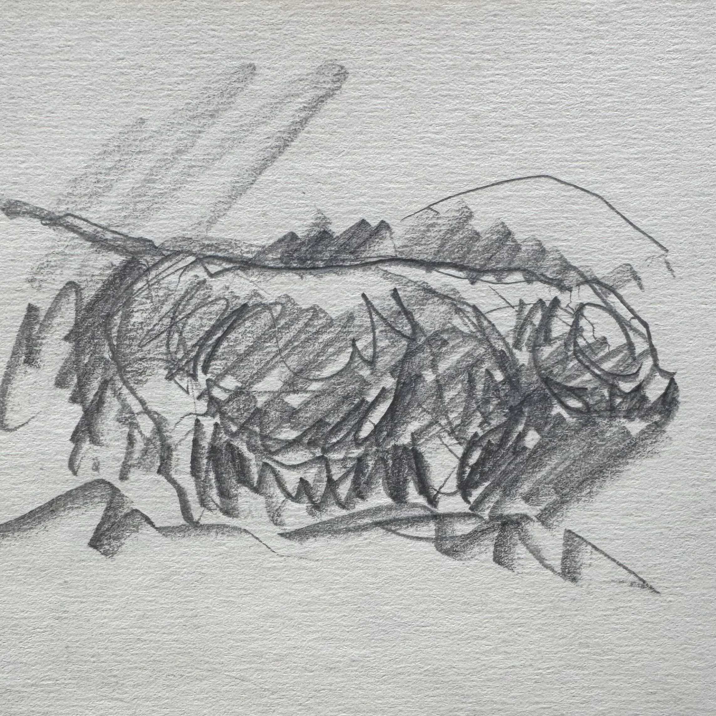 Harry Becker drawing for sale
