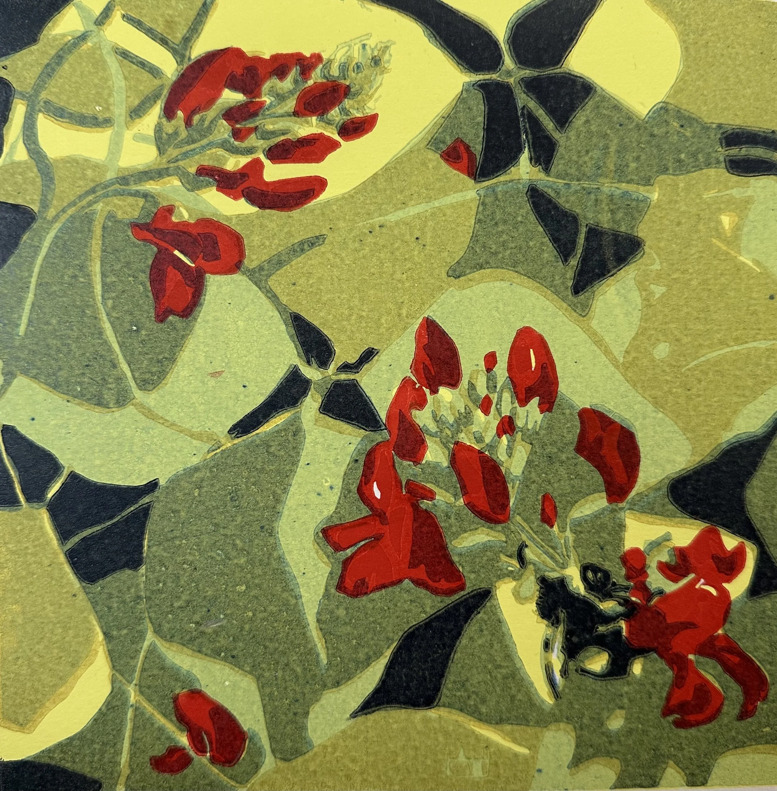 Amie Haslen for sale