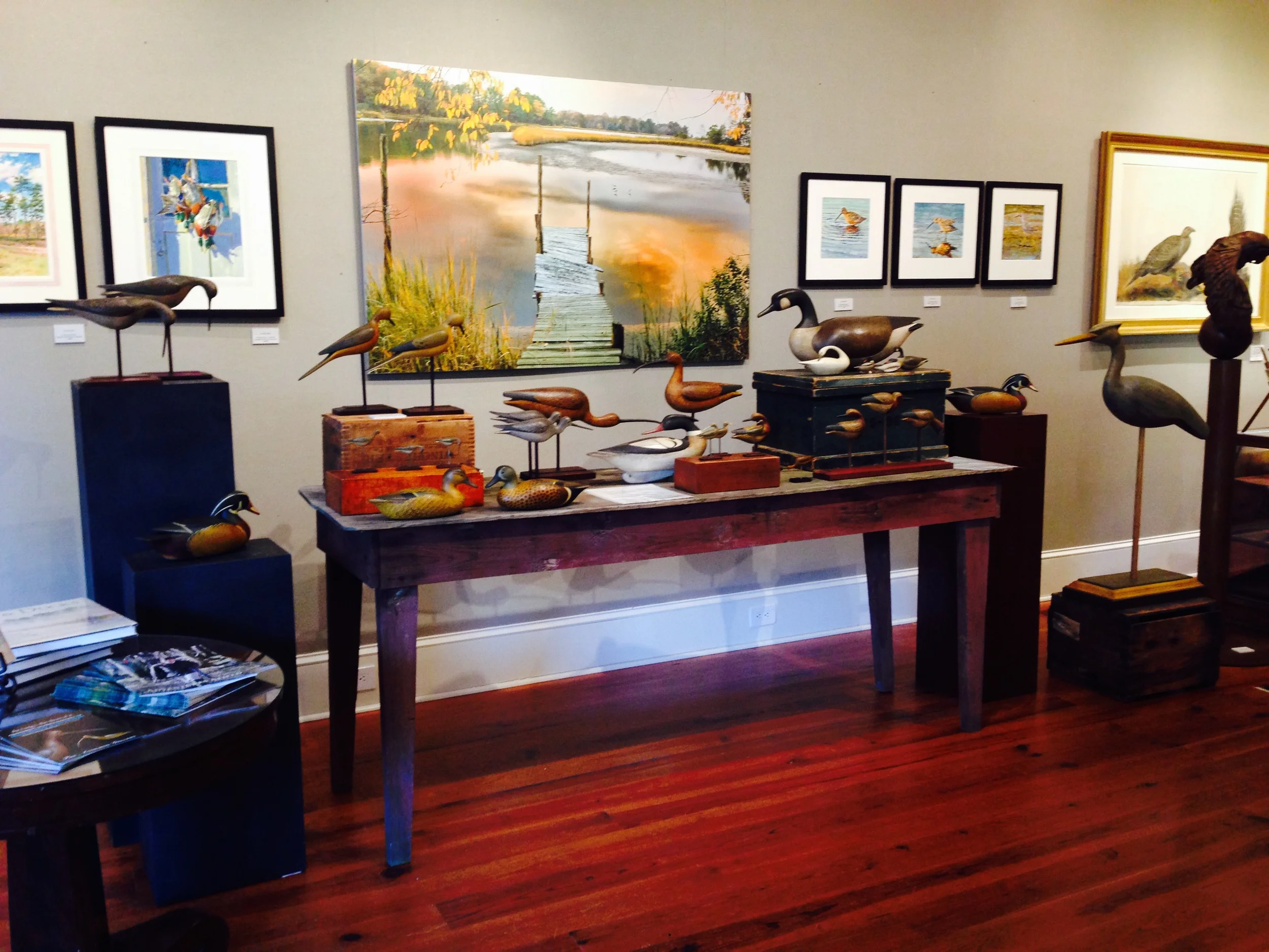 Charleston SEWE Audubon.  Feb. 2015