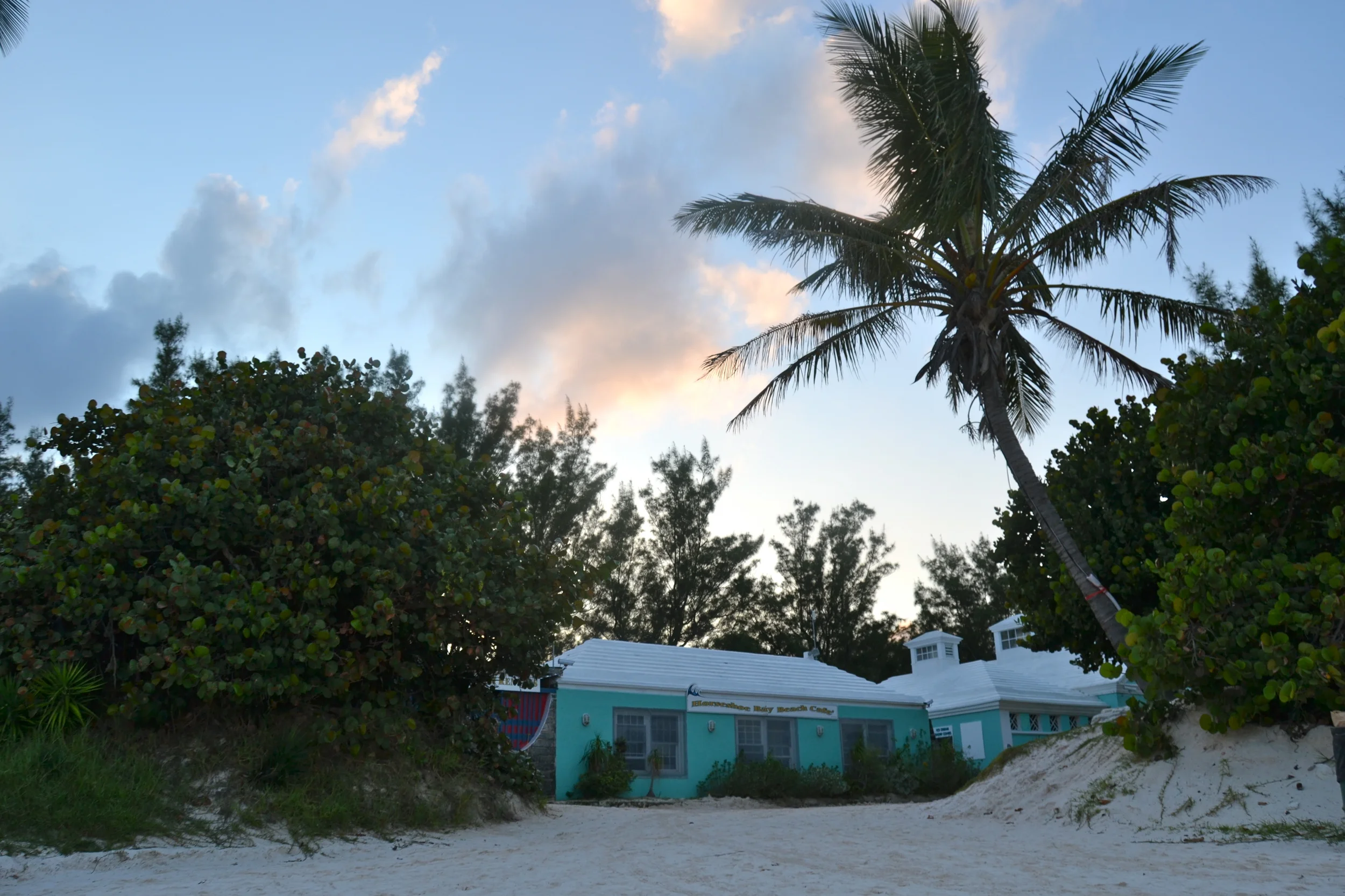 DSC_0228.JPG