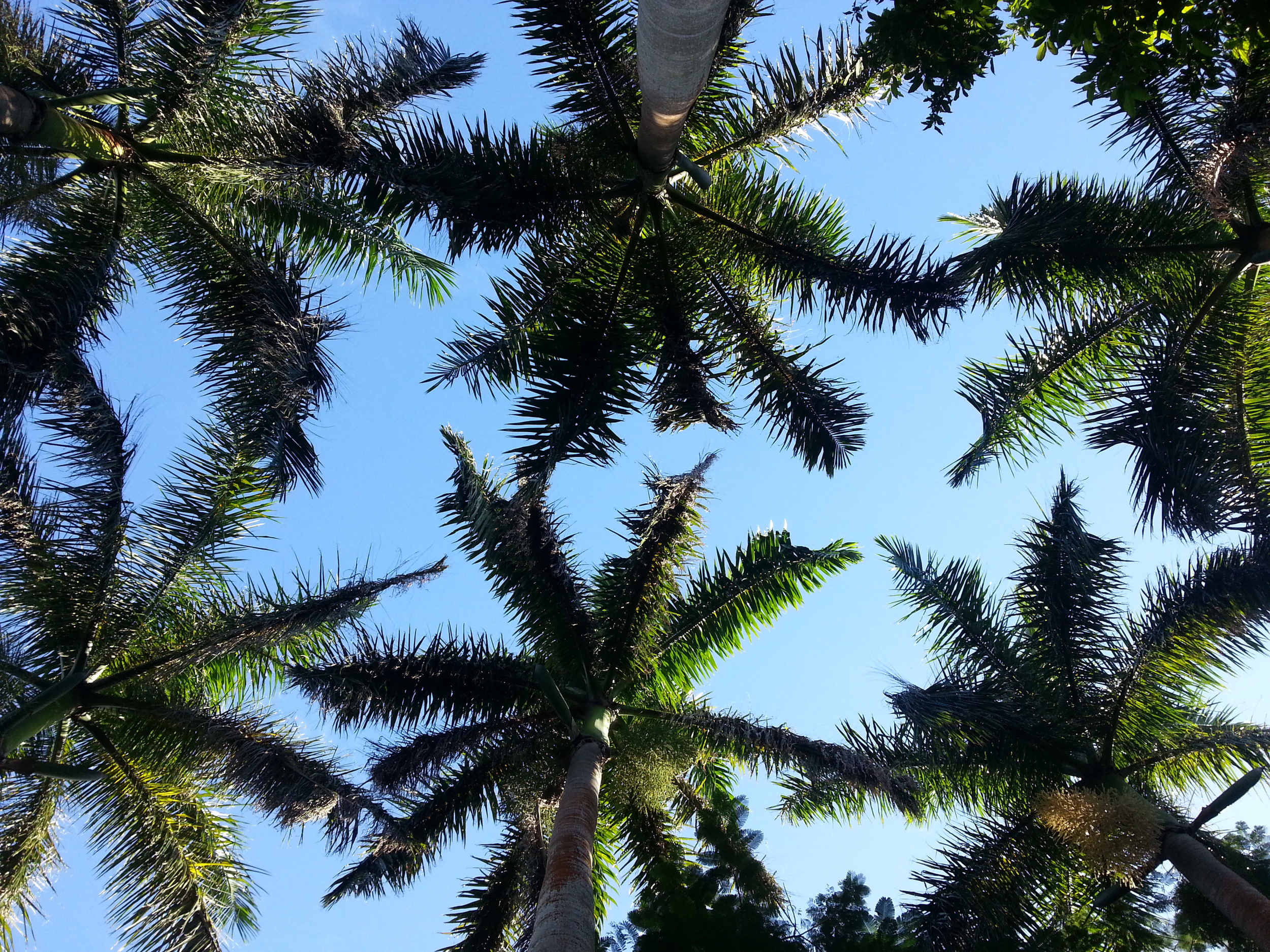 20131027_142203.jpg