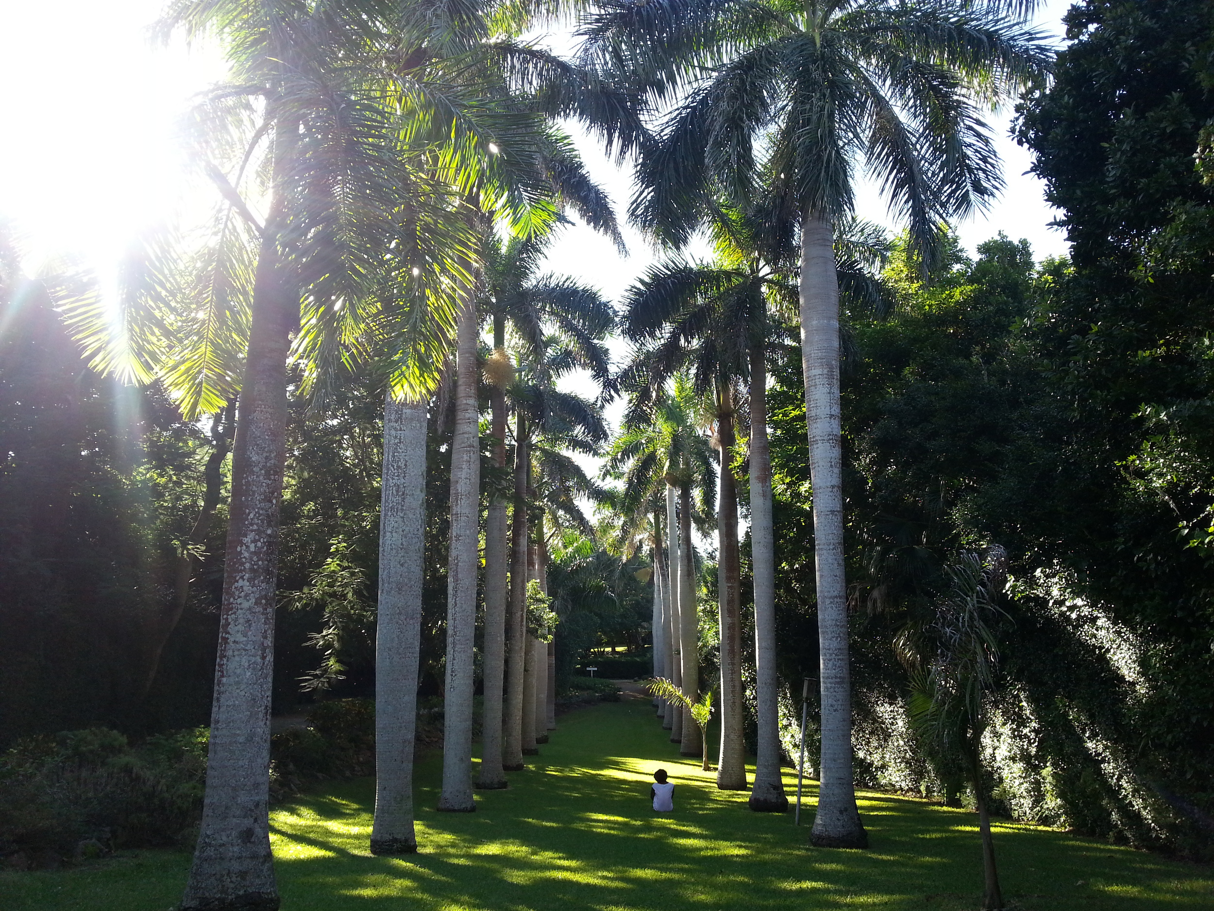 20131027_142054.jpg