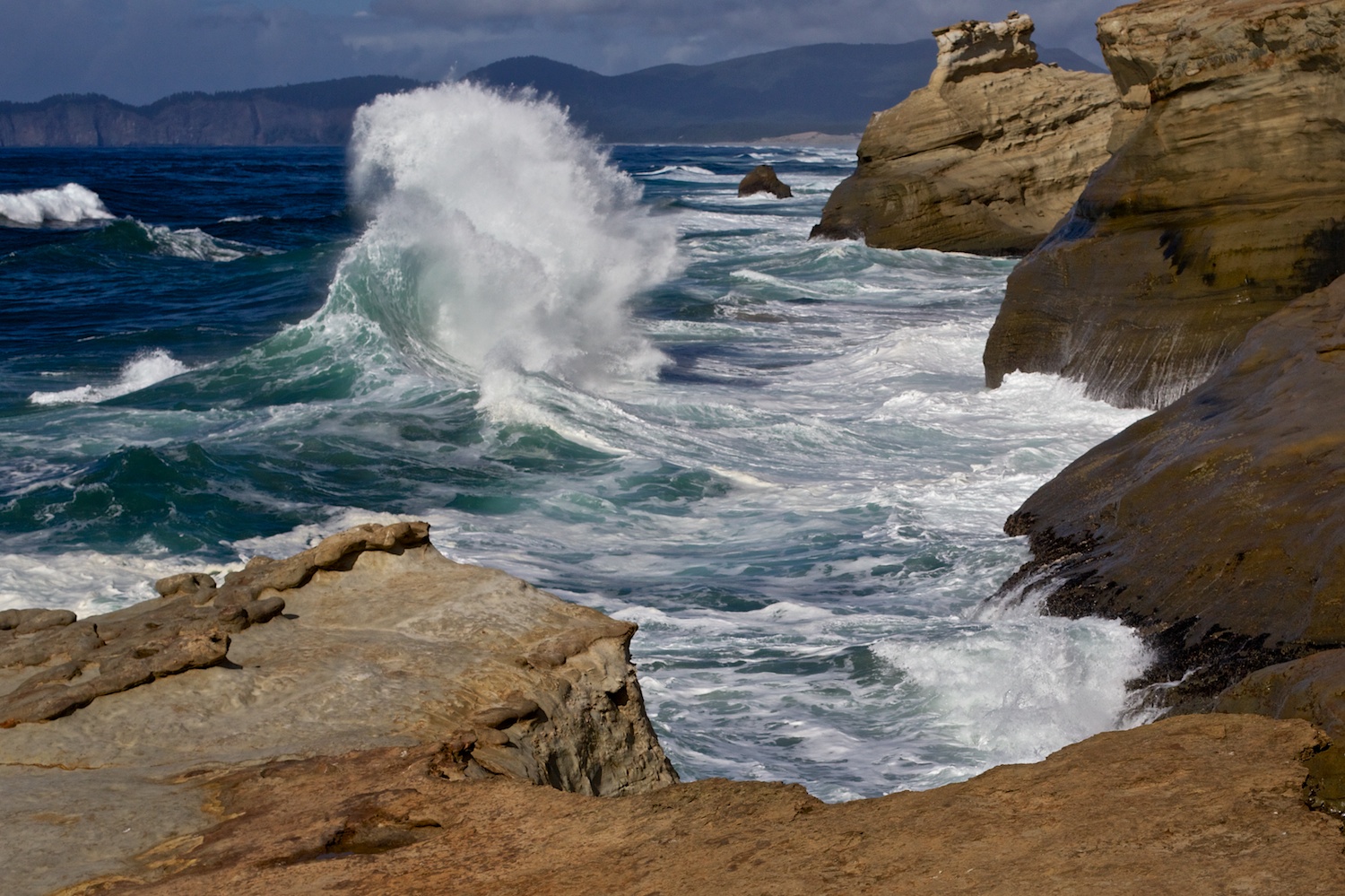 Oregon Coast 2 - Gale Straub.jpg