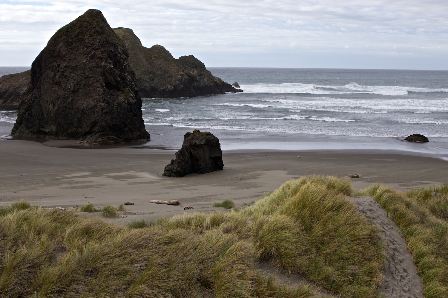 Oregon Coast 5 - Gale Straub.jpg