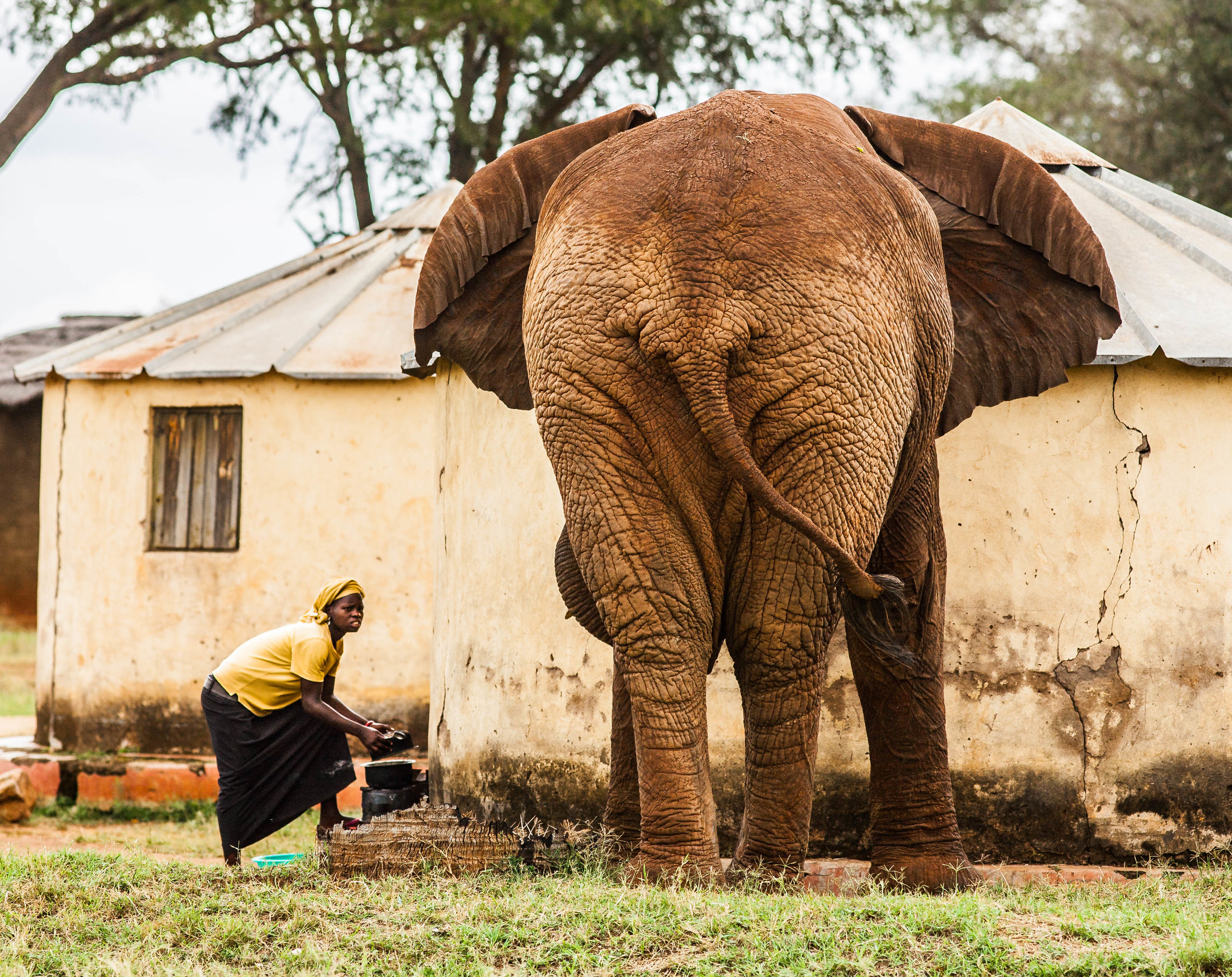 Backpacking Africa by Kevin Perry_Spirited Pursuit