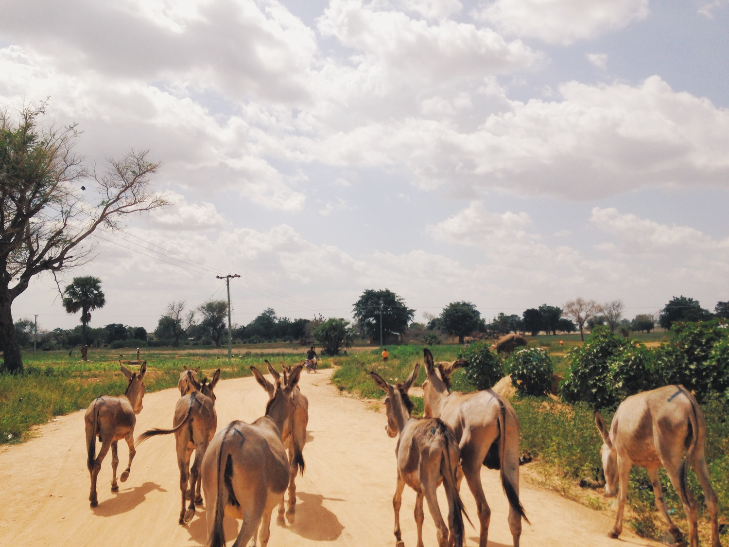 AAKS Handbags Fair Trade in Bolgatanga_Spirited Pursuit