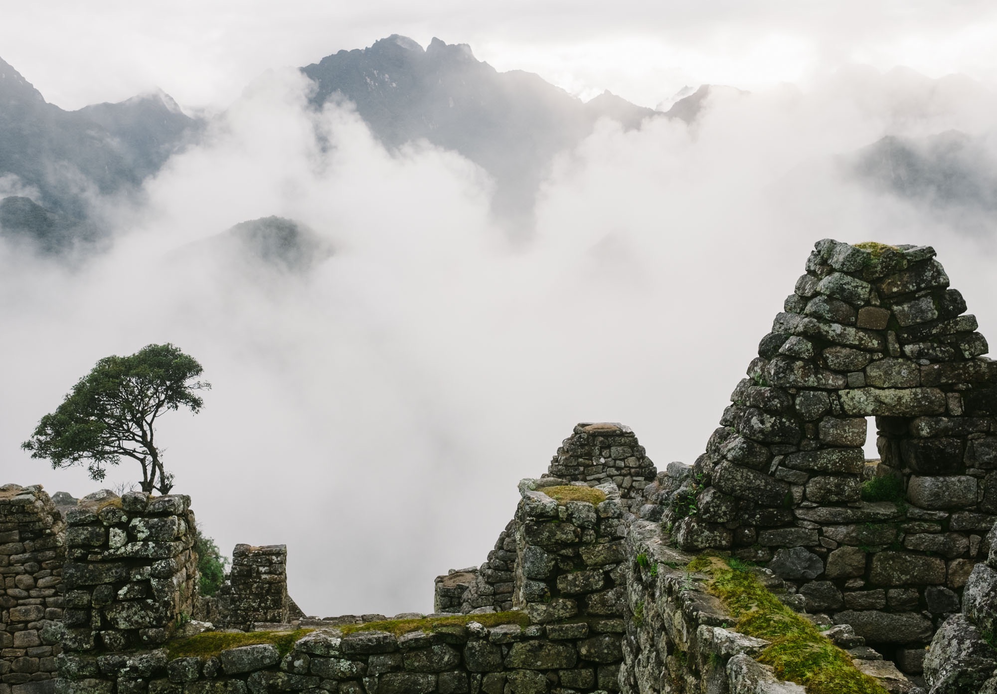 JenniferEmerling_Peru_MachuPicchu04.jpg