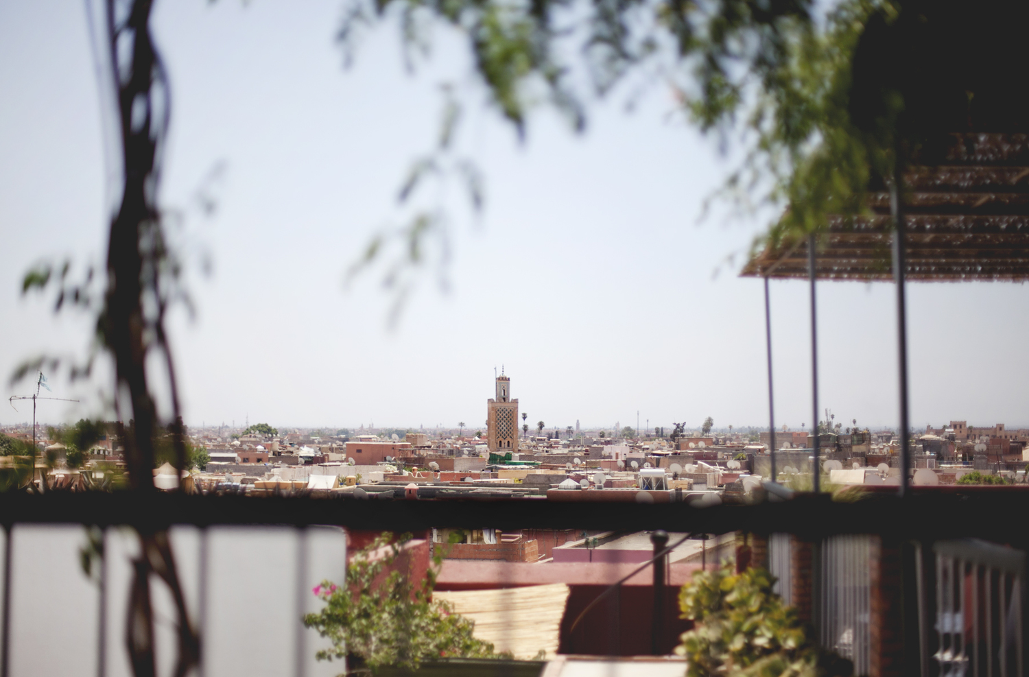 IMG_5329+marrakesh.jpg