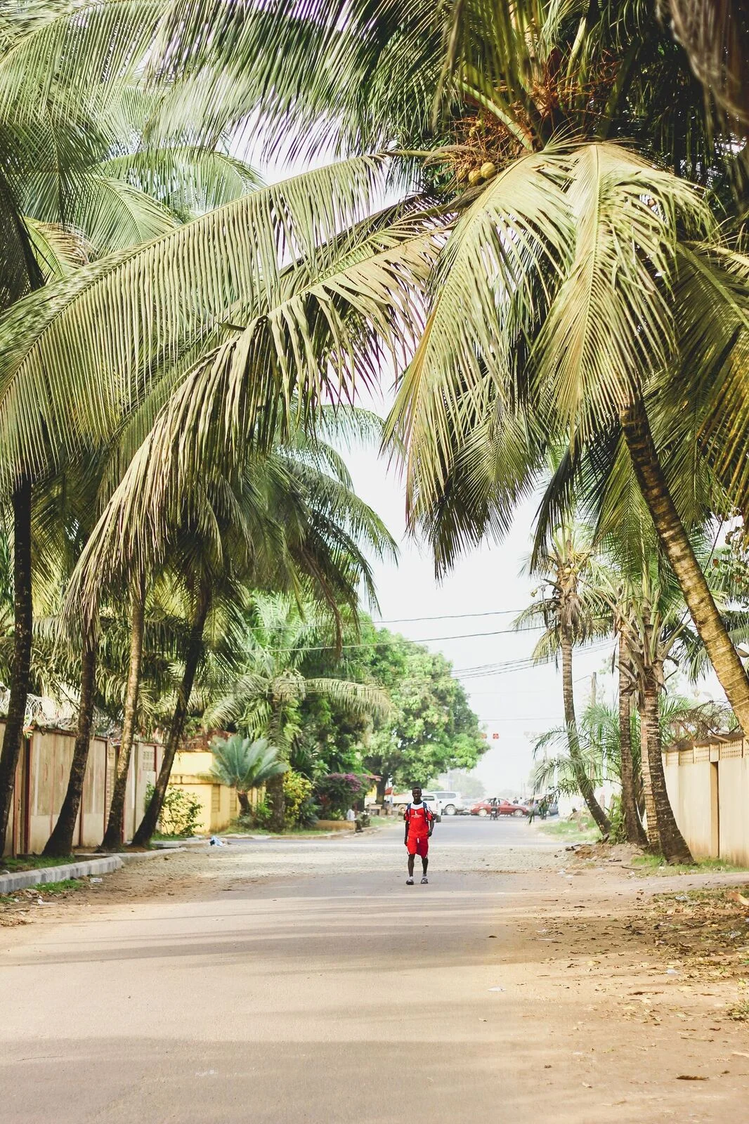 Red jumpsuit and palm trees.jpeg