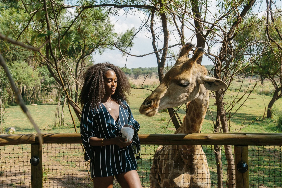 spiritedpursuit_leelitumbe_lionsafaripark-55.jpg