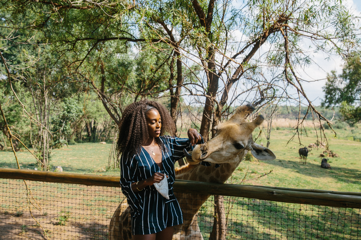 spiritedpursuit_leelitumbe_lionsafaripark-49.jpg