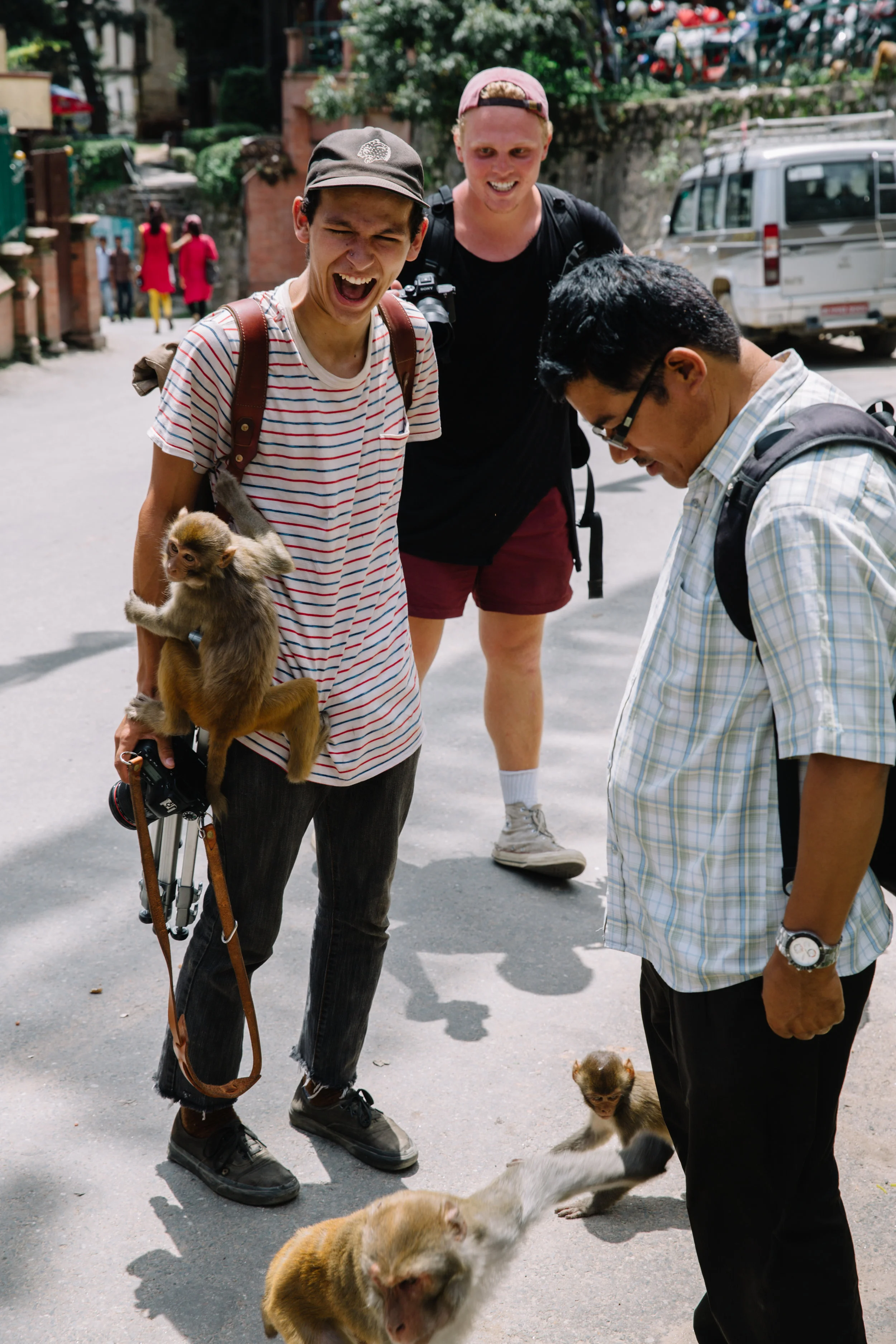 Monkeys.jpg