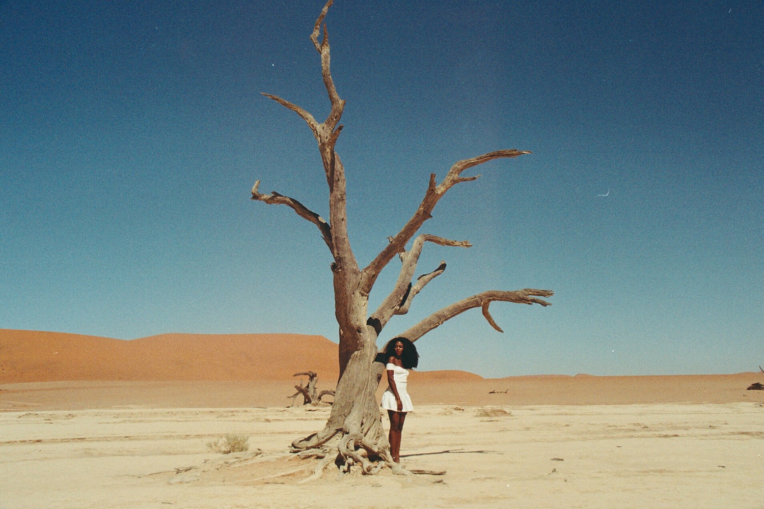 WHAT IT'S LIKE TO EXPLORE DEADVLEI