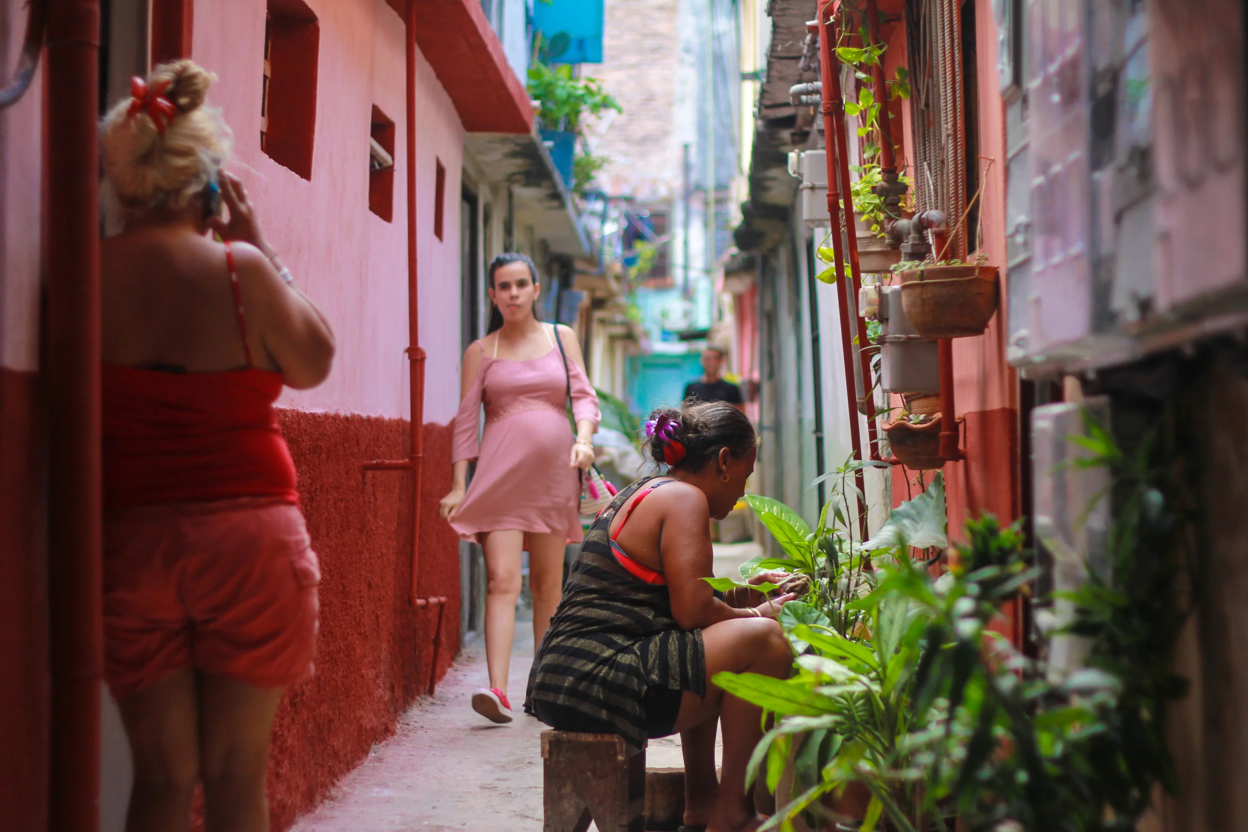 Alley.jpg