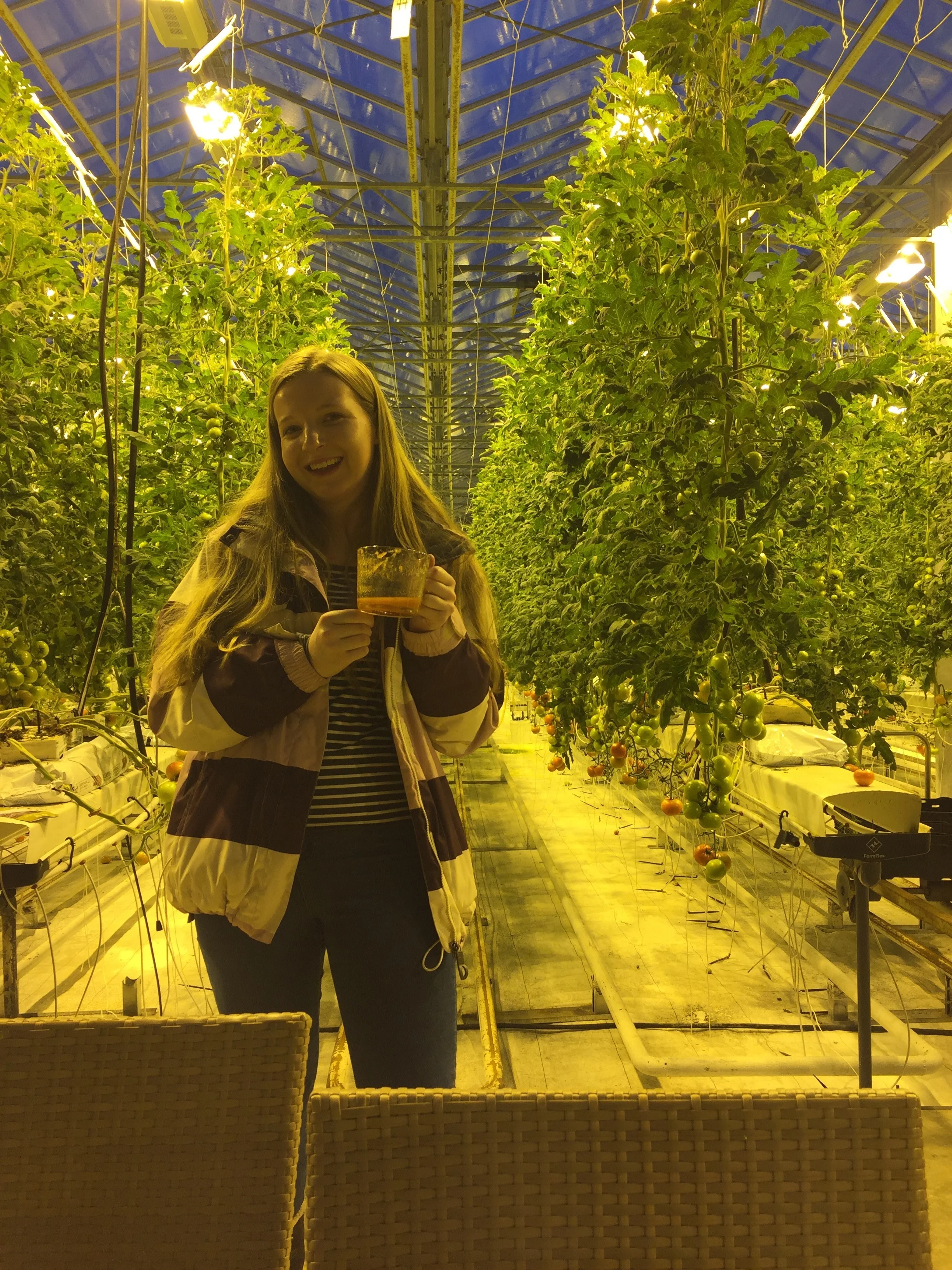 Drinking tomato soup made from tomatoes grown in a greenhouse heated by geothermal energy and lit with electricity from hydroelectric power.
