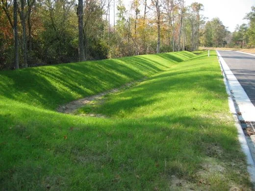 A swale (Image Source: Affordable Housing Institute )
