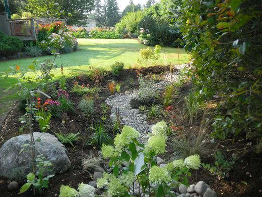 A rain garden (Image Source: Kitsap Conservation )