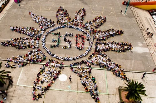 350.org header image.jpg
