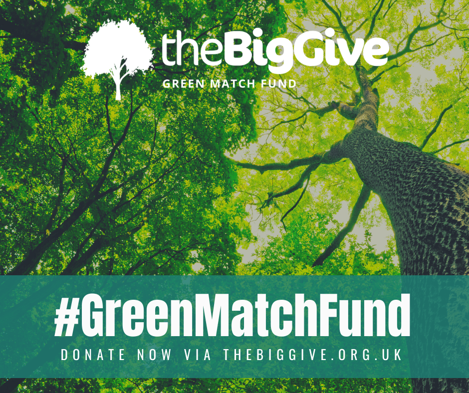 Blog — Hope for the Future