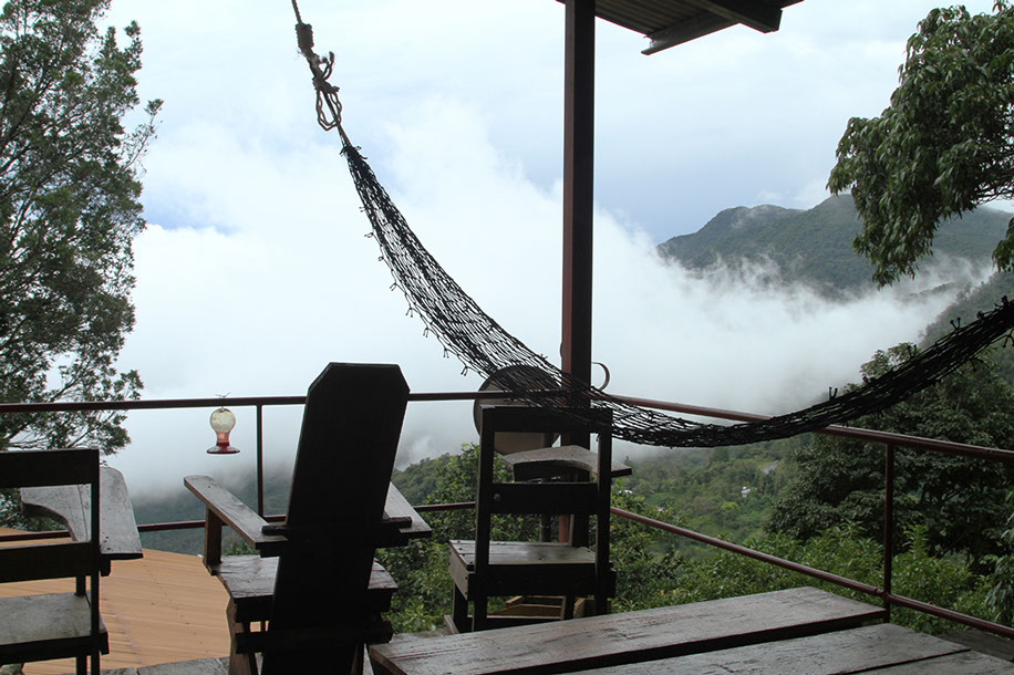 hostel panama jungle.jpg