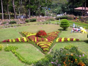 Pagan Star at Mi Jardn es Su Jardin in Boquete