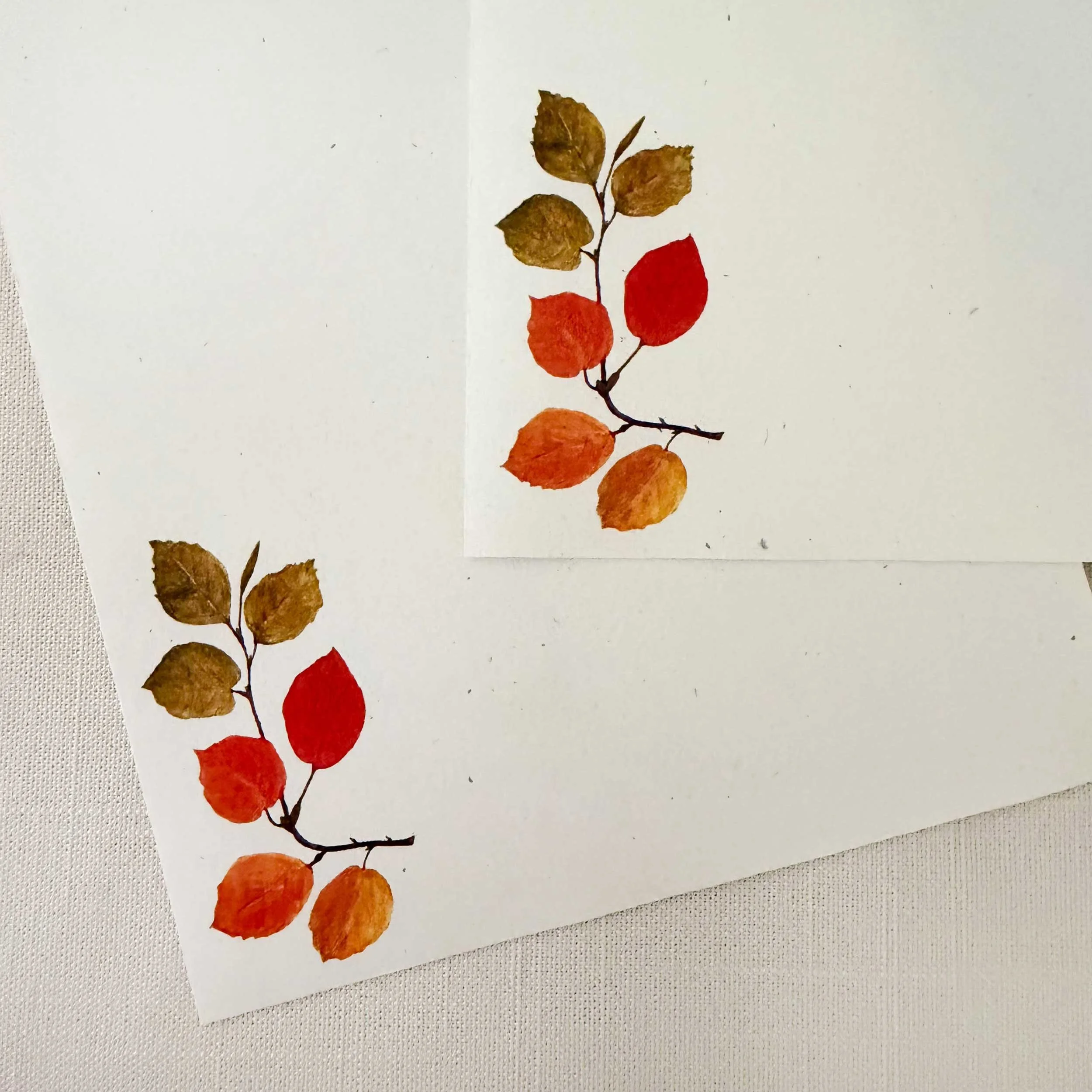 bottle-brush-letter-writing-set_3.jpg