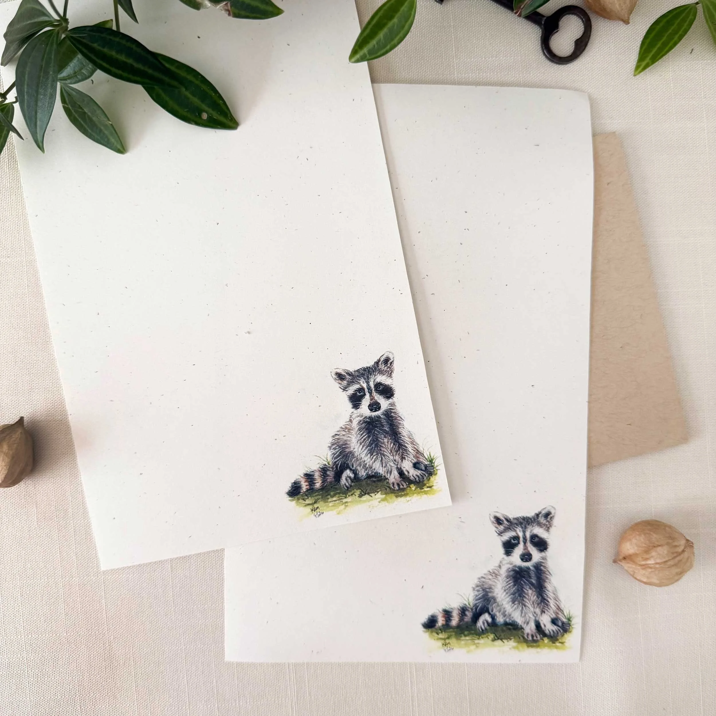 young-raccoon-grass-letter-writing_1.jpg