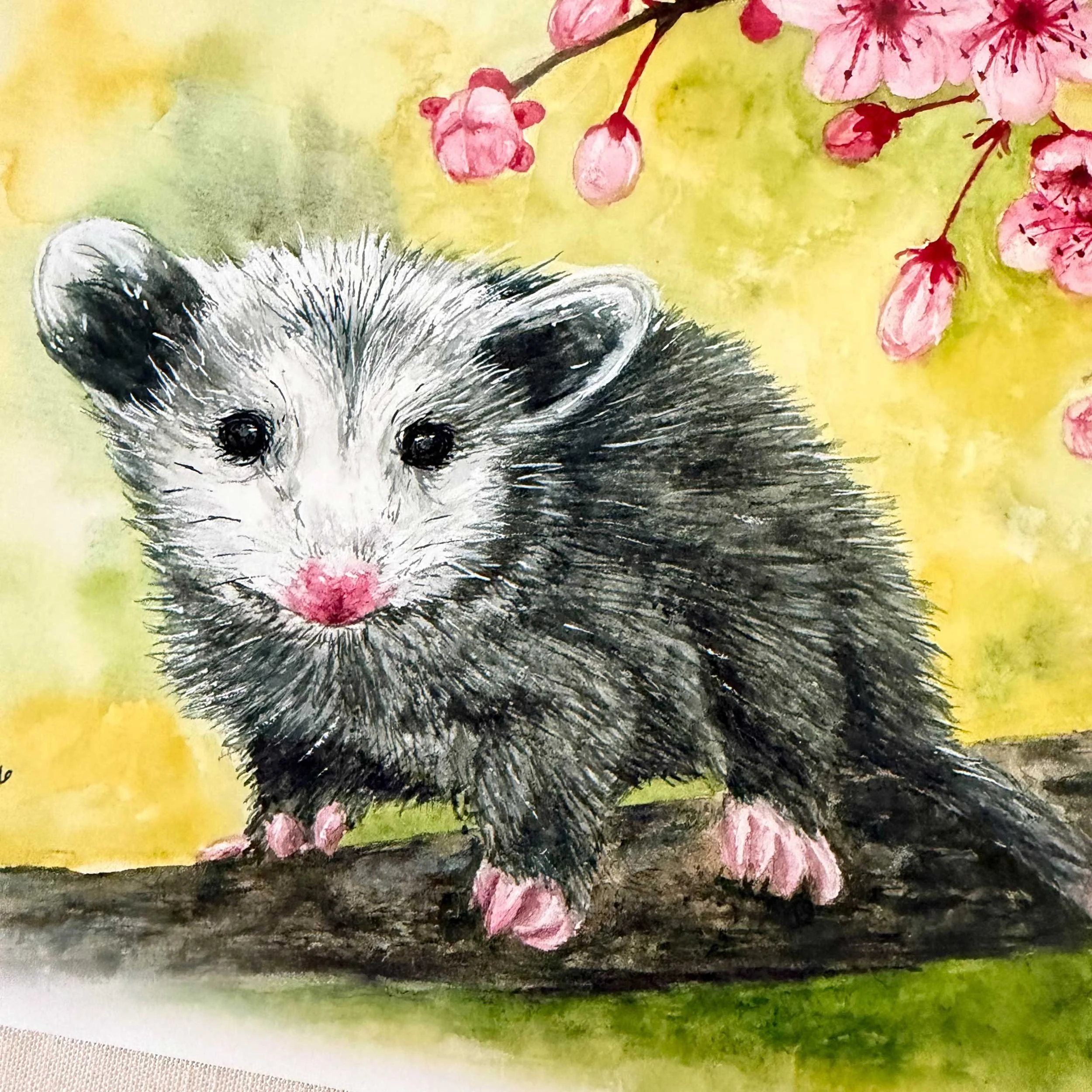 Opossom-CherryBlossoms-art-print_4.jpg