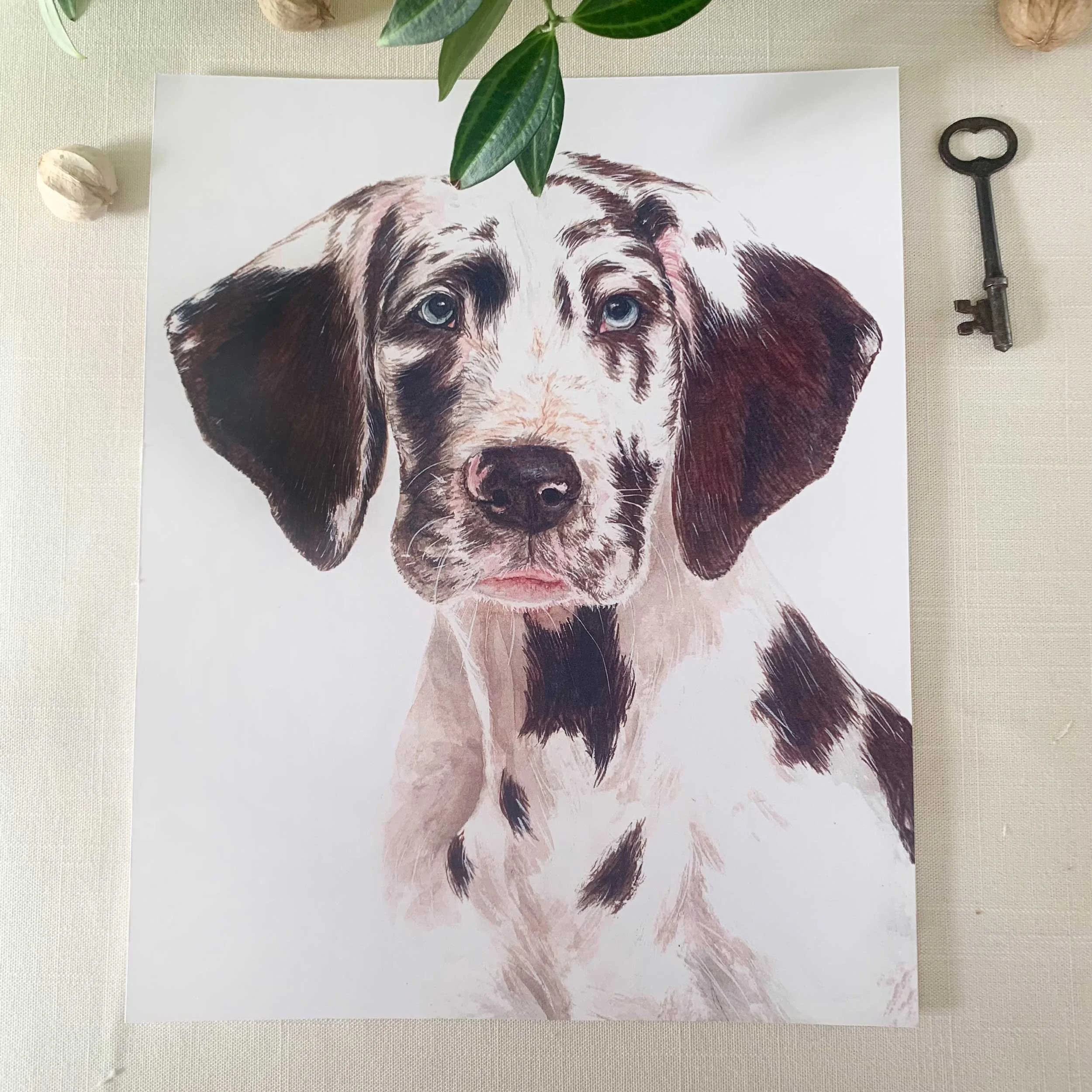 great-dane-puppy-art-print_1.jpg
