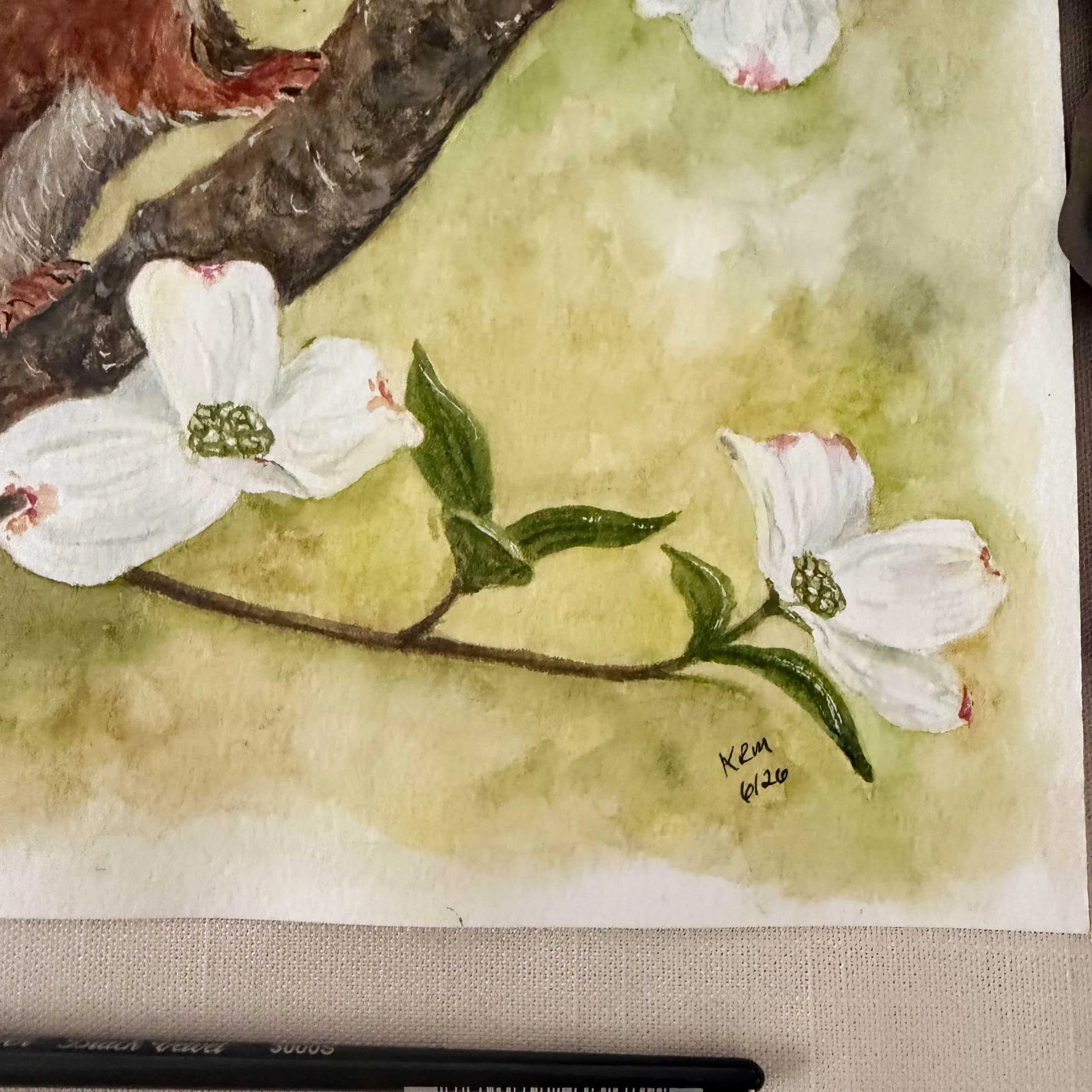 red-squirrel-dogwoods-painting_5.jpg