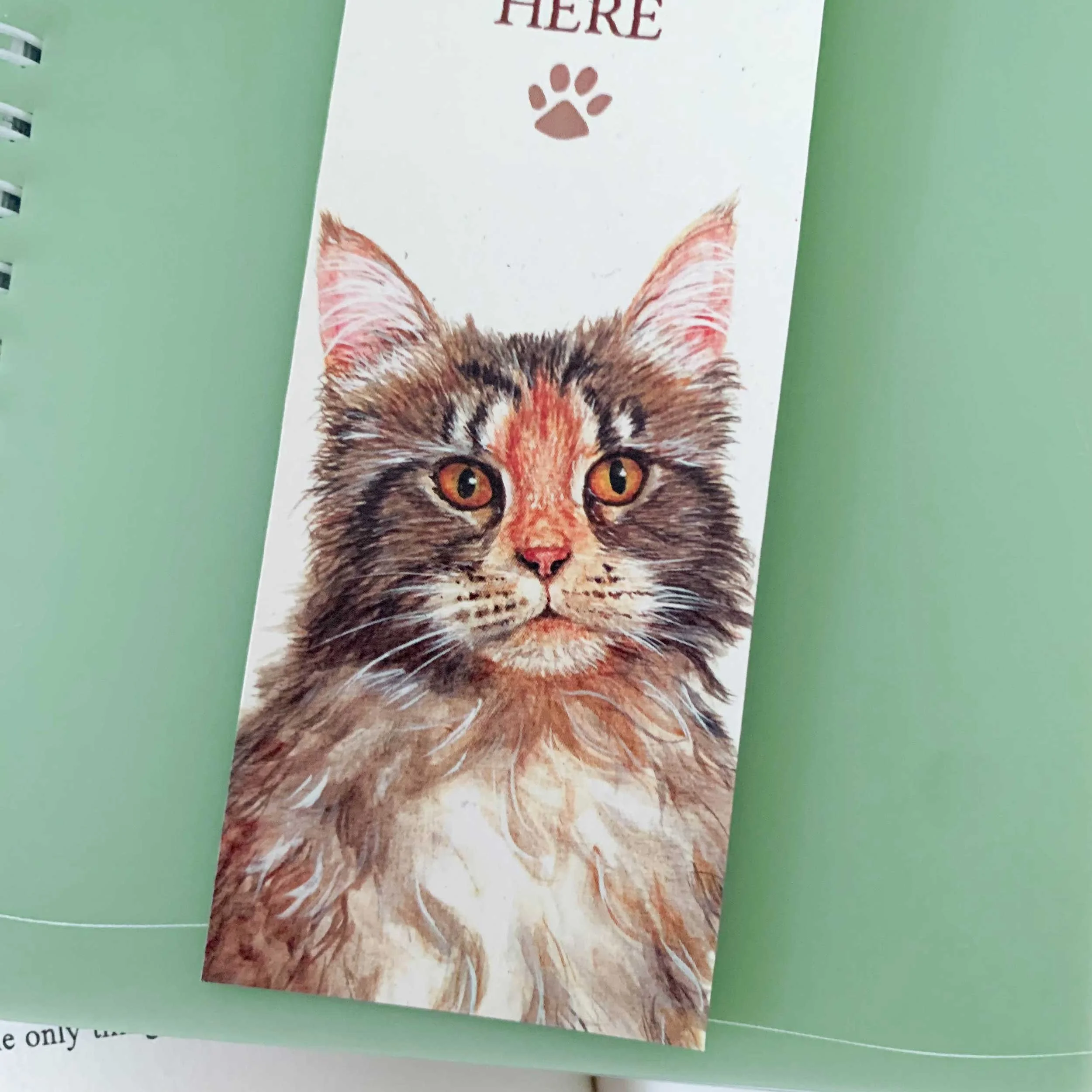 mainecoon-cat-bookmark_3.jpg