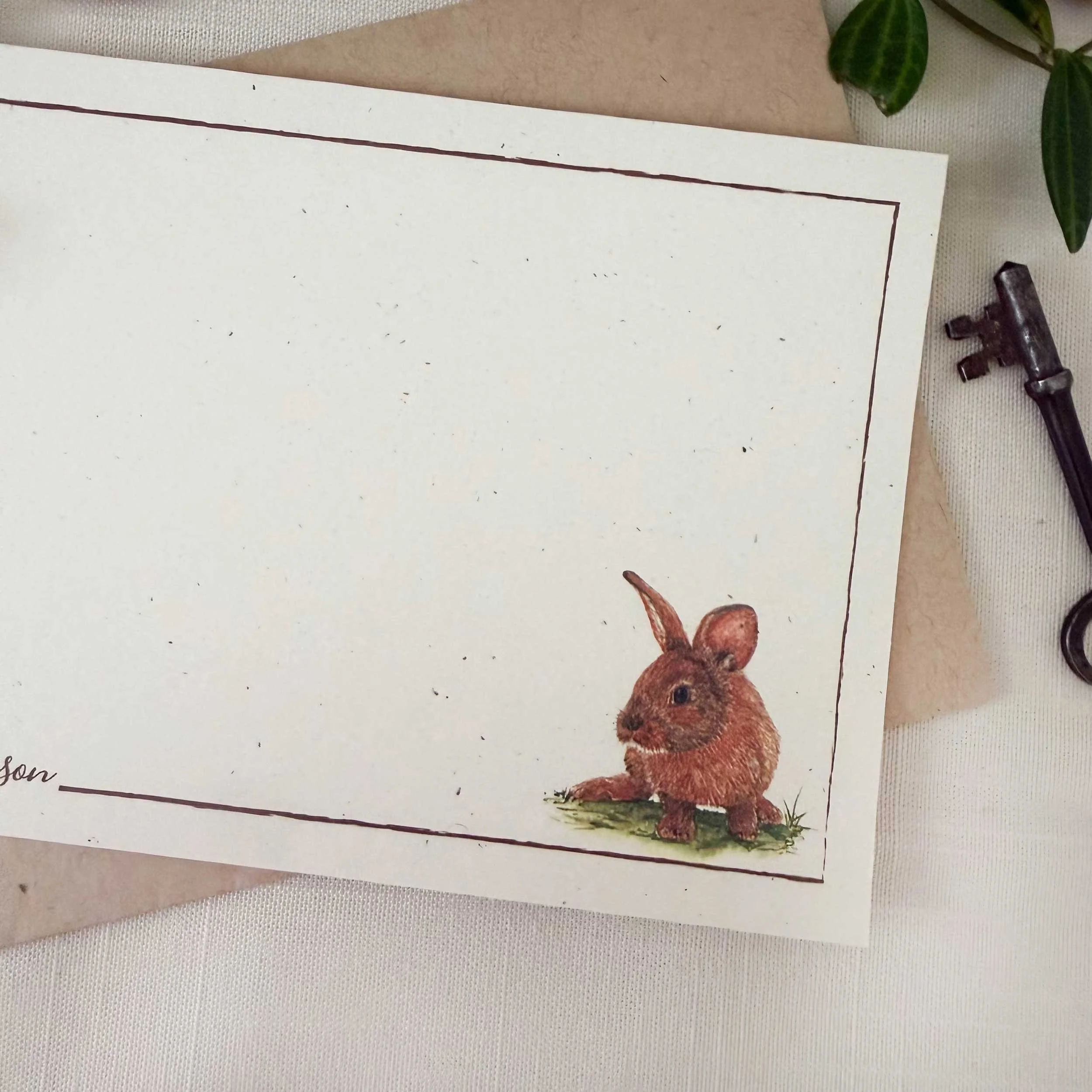 young-bunny-in-grass_notecard_2.jpg