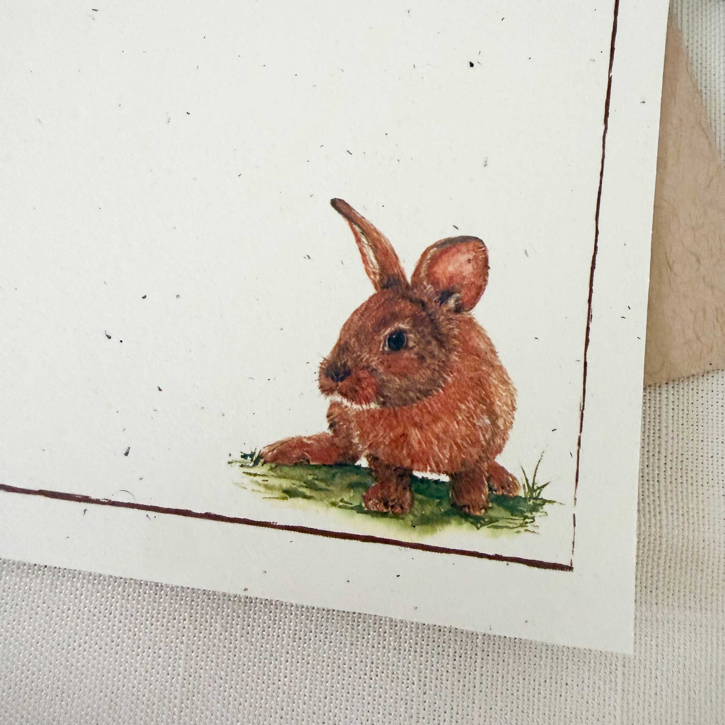 young-bunny-in-grass_notecard_3.jpg