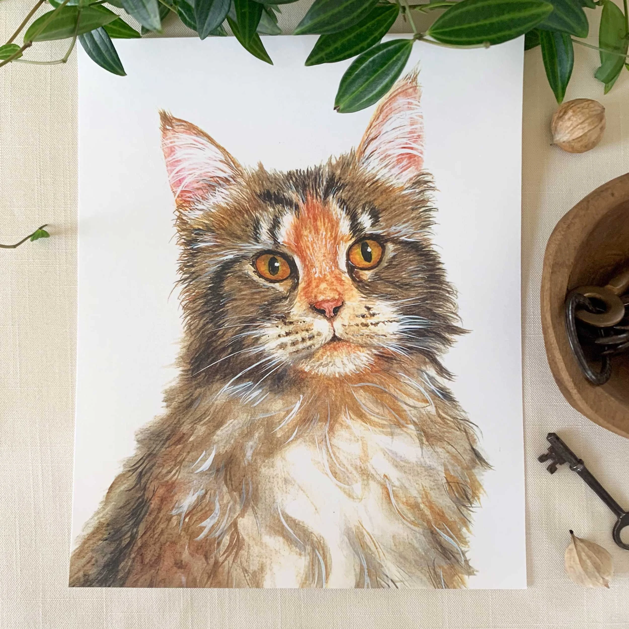 Maine Coon Cat Art Print