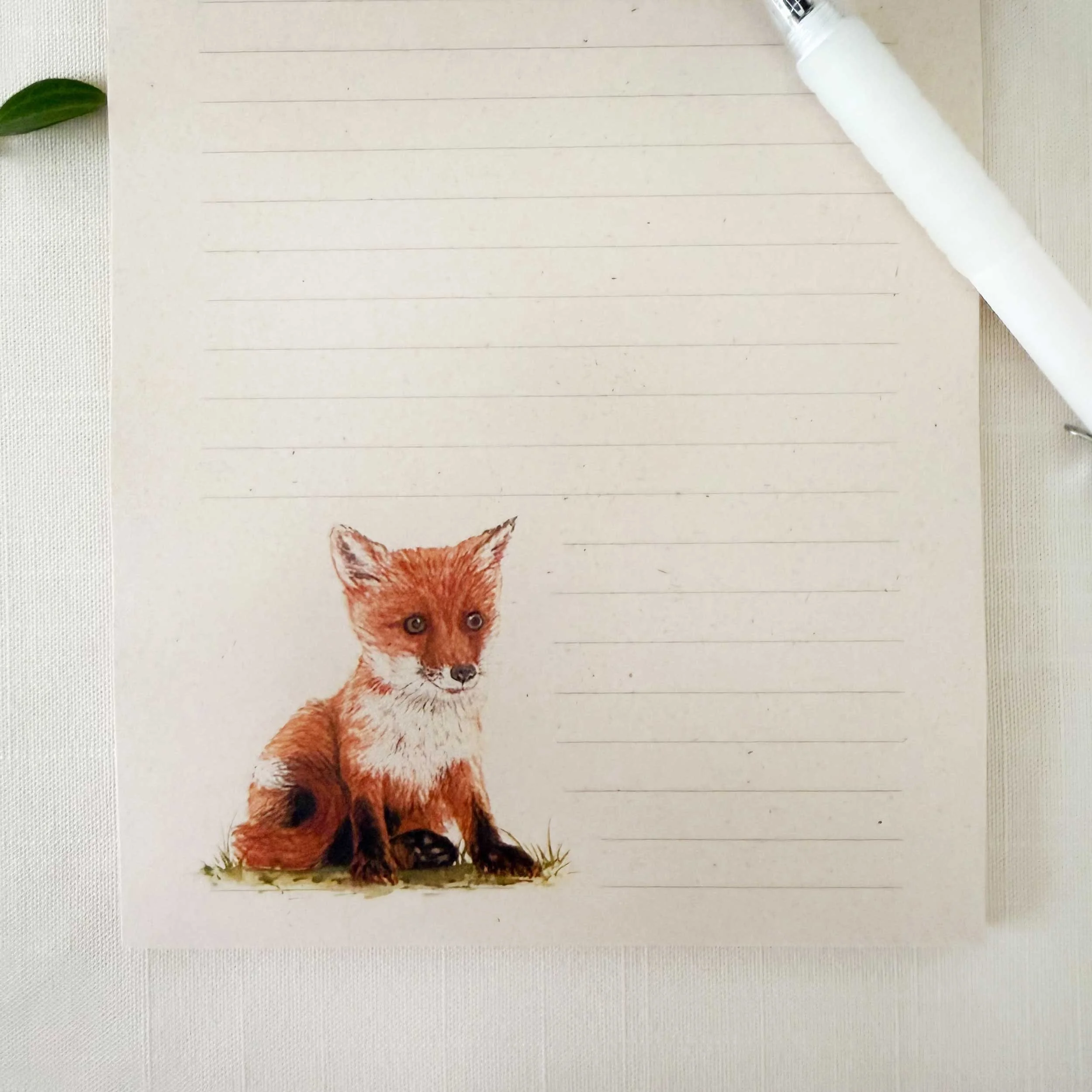 young-fox-sitting_notepad_2.jpg
