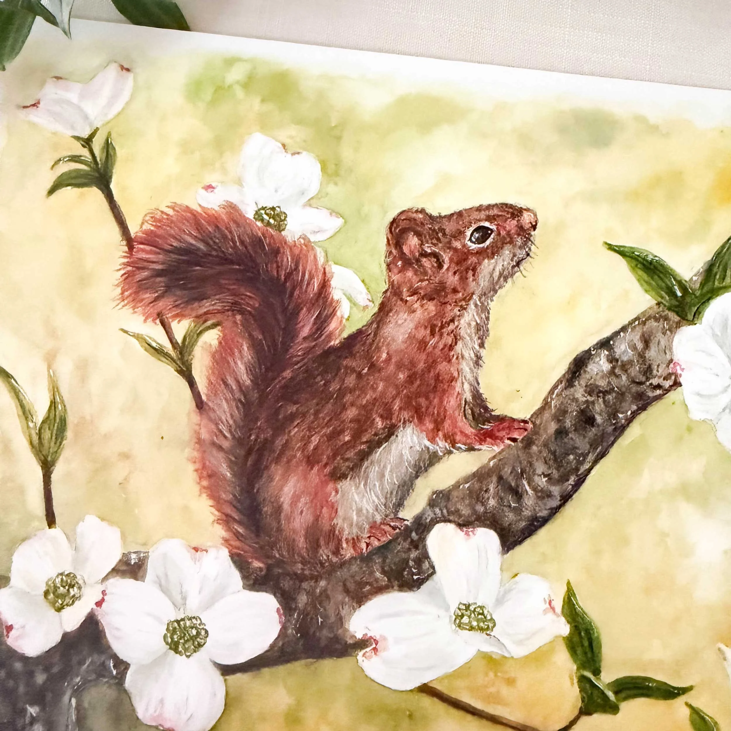 red-squirrel-dogwoods-art-print_3.jpg
